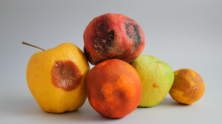 Moldy fruit