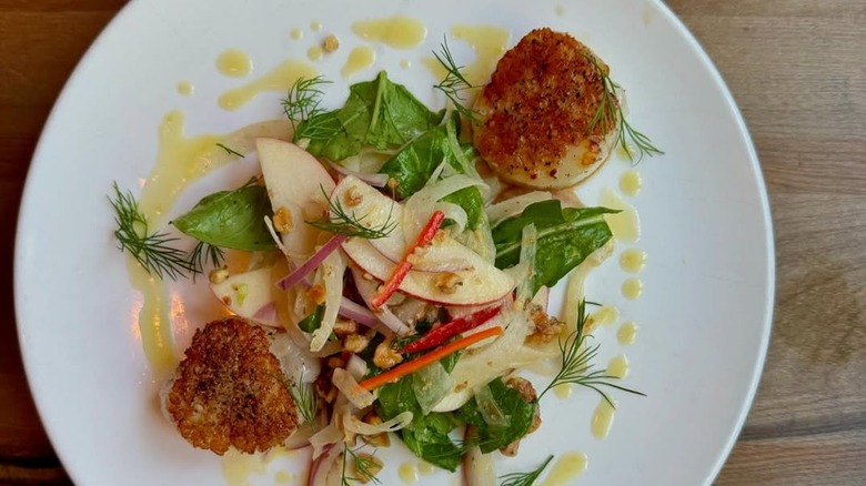 Seared scallops on a plate at the Obstinate Daughter