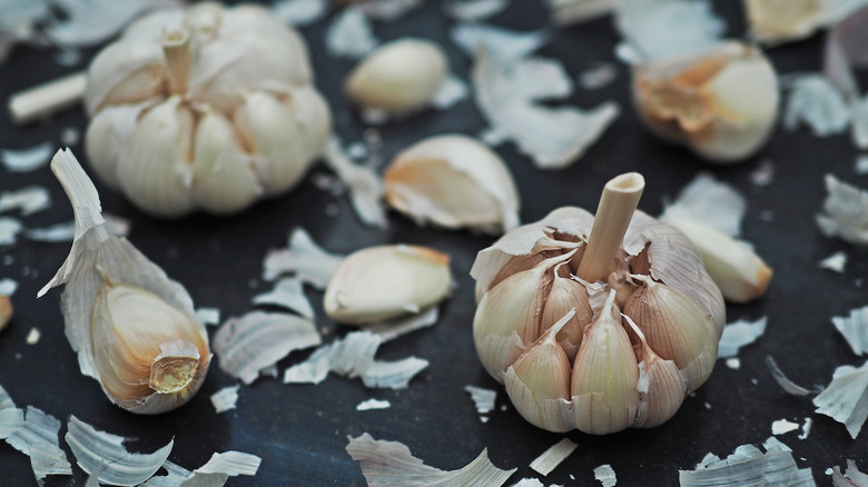 Bulbs of hardneck garlic with peels
