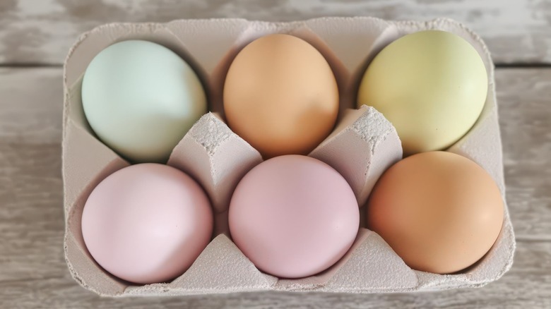 Six different colored eggs in an open carton.