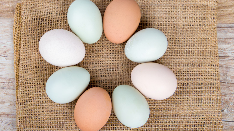 Circle of white, brown, and blue chicken eggs on a piece of burlap.