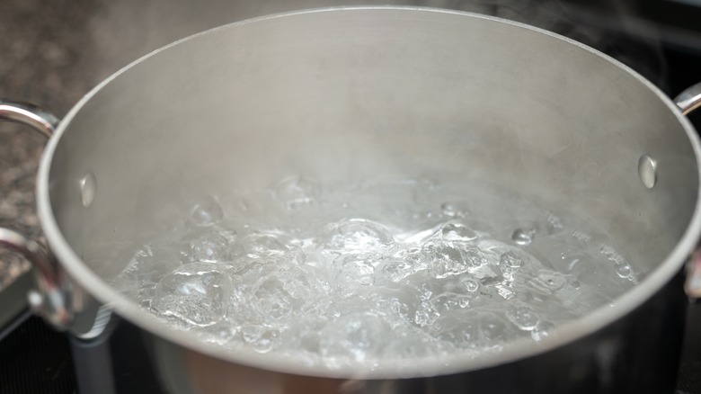 boiling water in a pot