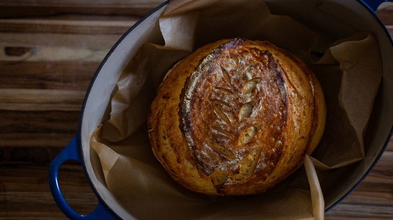 Fresh baked loaf of homemade sourdough bread resting in a dutch oven