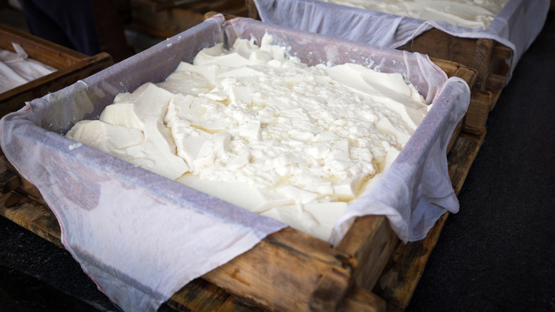 straining tofu
