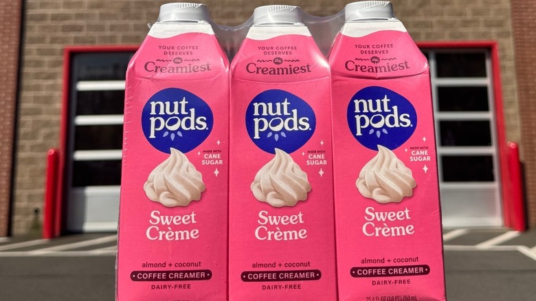 Hand holding three packages of Nut Pods non dairy creamer