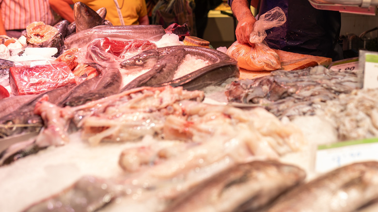 A fishmonger's counter