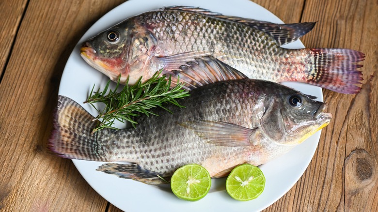 Whole tilapia fish on plate