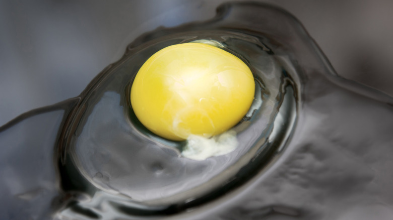 An egg in a pan seen from above, with its chalaza.
