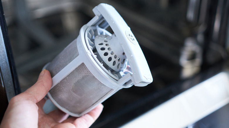 A hand holding a dishwasher filter.