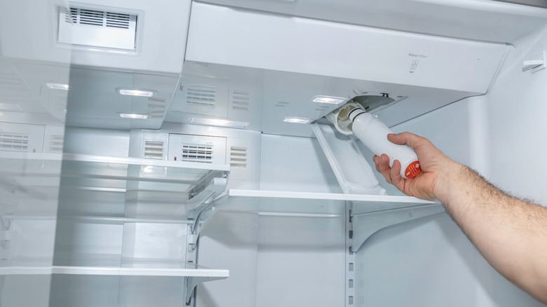 An individual removing a water filter from a fridge.