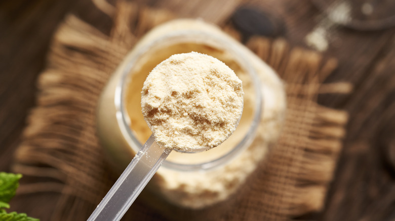 Whey protein powder in a measuring scoop above a jar, top view