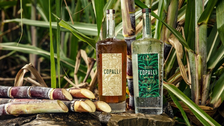 Two bottles of Copalli rum