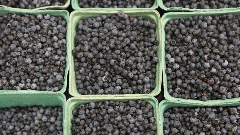 Blueberries in green cardboard containers