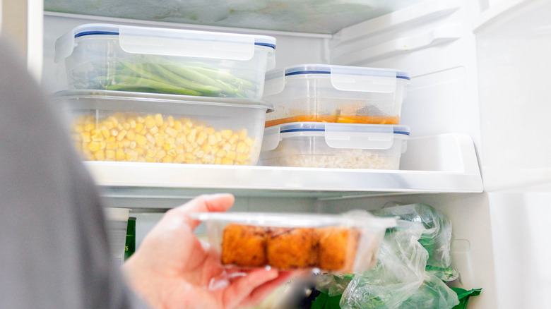 person placing containers in freezer