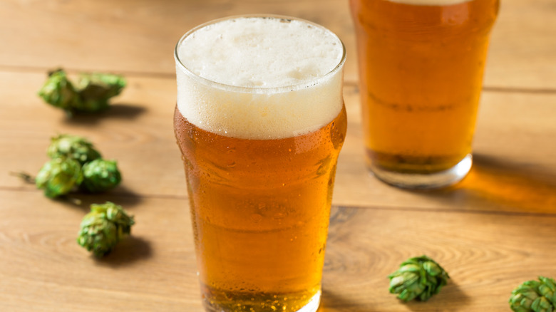 Two glasses of beer surrounded by hops