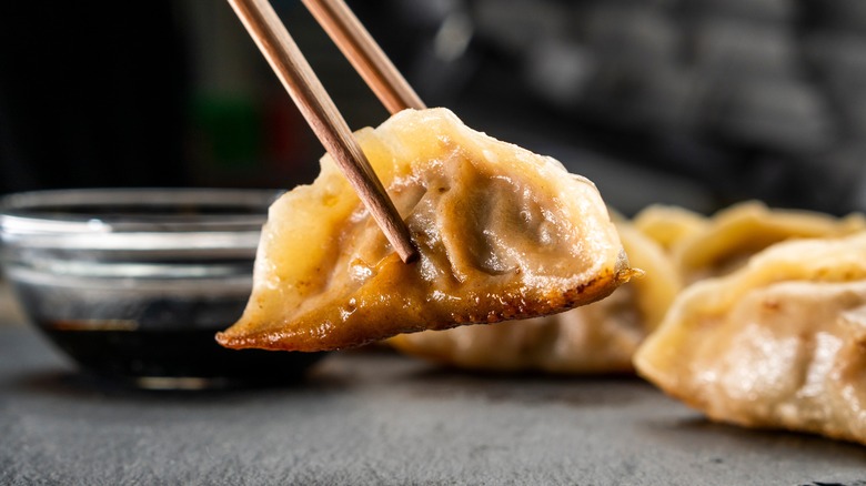 Chinese dumpling in chopsticks