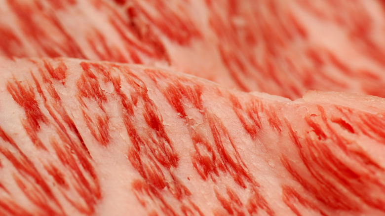 The marbling of Kobe beef