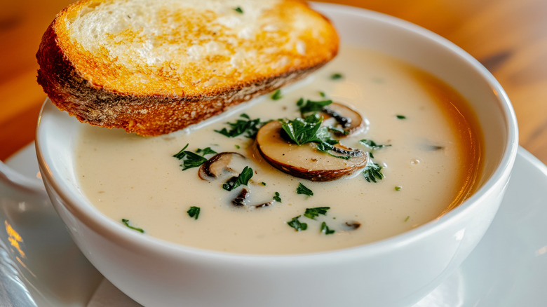 Creamy mushroom soup with a piece of toasted bread