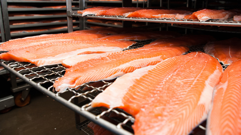 salmon fillets being prepared for the smoking process