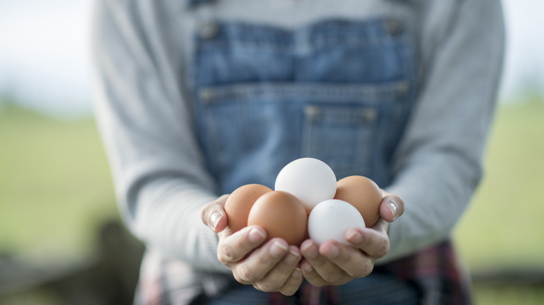 Person holding eggs