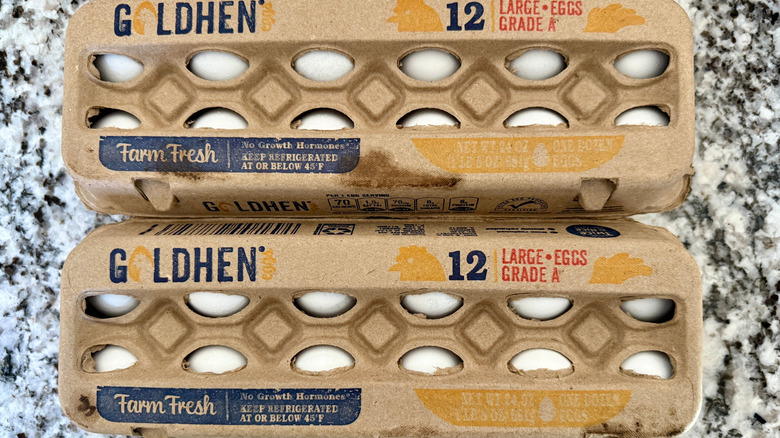 Two cartons of Aldi's house brand Goldhen large white eggs, each holding a dozen, sit on a countertop. Printed on the cartons is the text "Grade A," "Farm Fresh," and "No Growth Hormones."