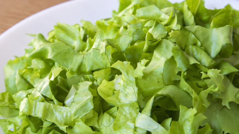 Close-up of shredded lettuce.