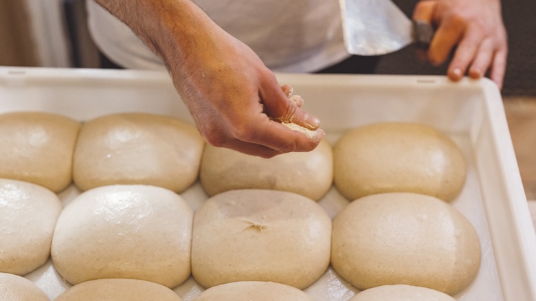 A hand dusting flour over freshly prepared balls of pizza dough lined up in a commercial kitchen on a tray.