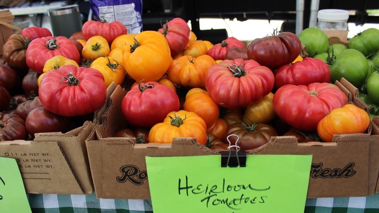 Heirloom tomatoes for sale at the Louisville Farmer's Market in Louisville