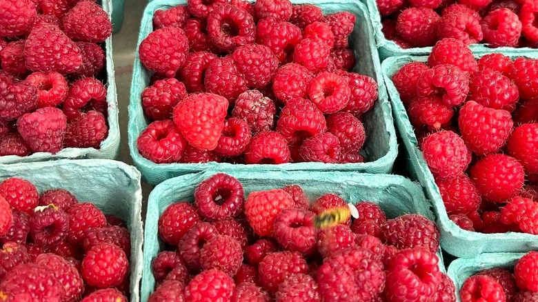 Raspberries for sale at the Coventry Farmers Market in Coventry