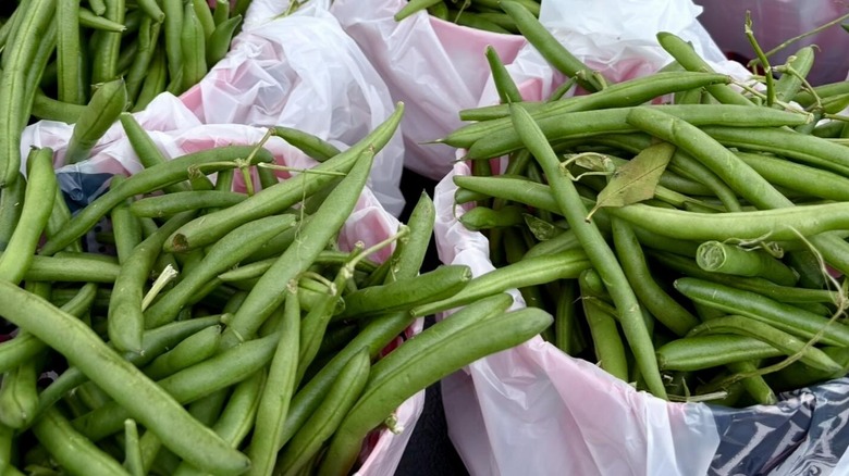 Green beans for sale at Arlington Heights Farmers Market In Arlington Heights