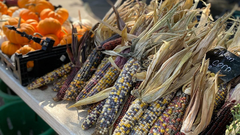 Cobs of corn on a table at the St. Paul Farmers' Market