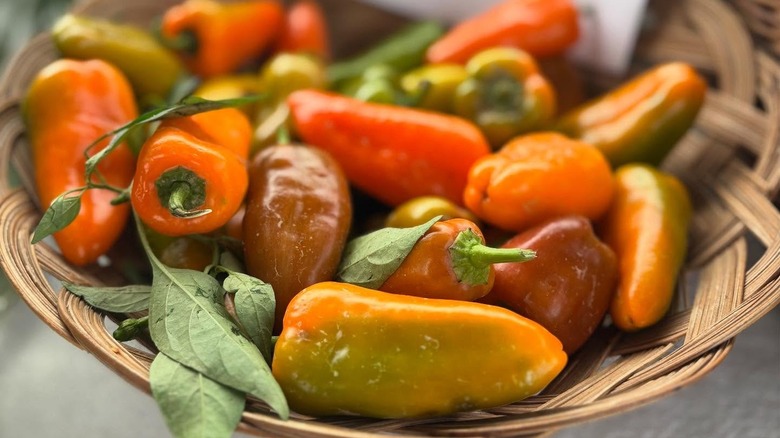 A basket of peppers at the Pontotoc Farmers Market