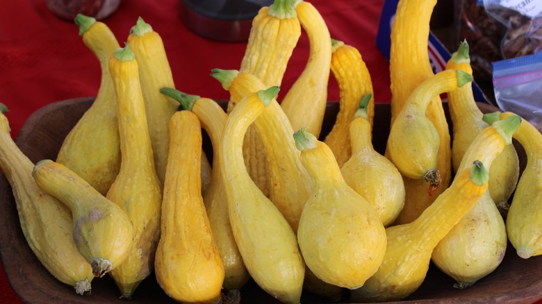 Yellow squash for sale at the Farmers & Crafts Market of Las Cruces