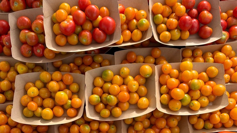 Cartons of cherry tomatoes at the Travelers Rest Farmers' Market