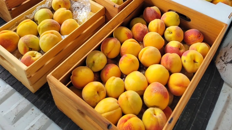 Peaches for sale at the Maple Valley Farmers Market