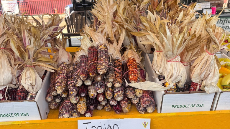 Corn for sale at the Capitol Market in Charleston