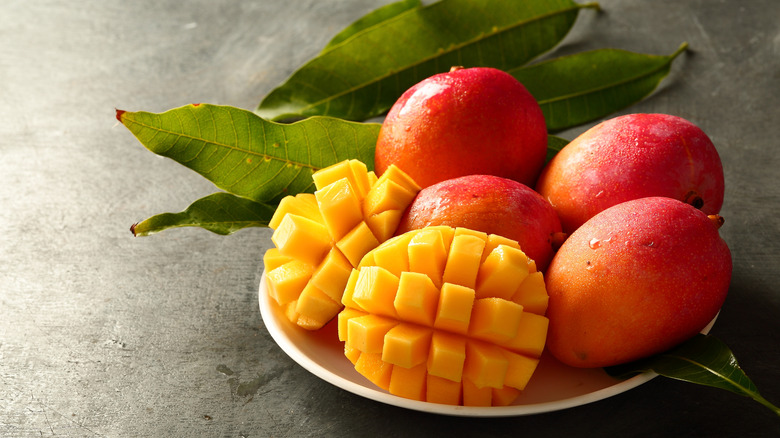 A dish filled with four fresh mangoes and one that has been cut in half and cubed