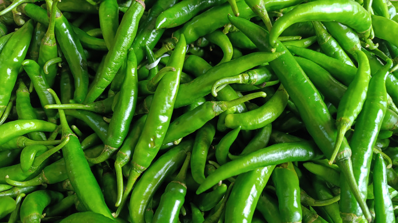 Pile of green chile peppers laying on top of one another