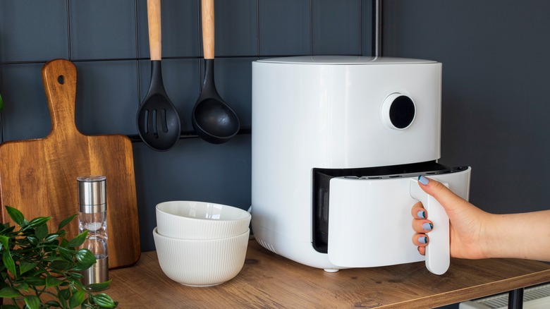 Person opening an air fryer 