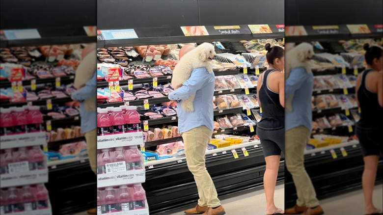 Person holding dog in Acme