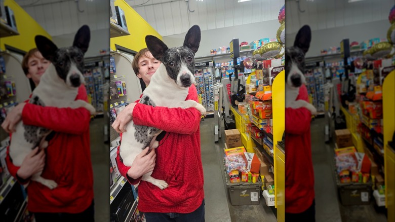 Person holding a dog