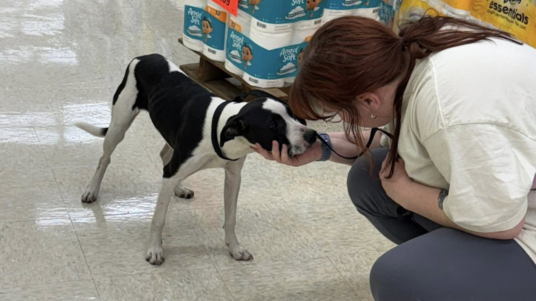 Person holding small dog's face