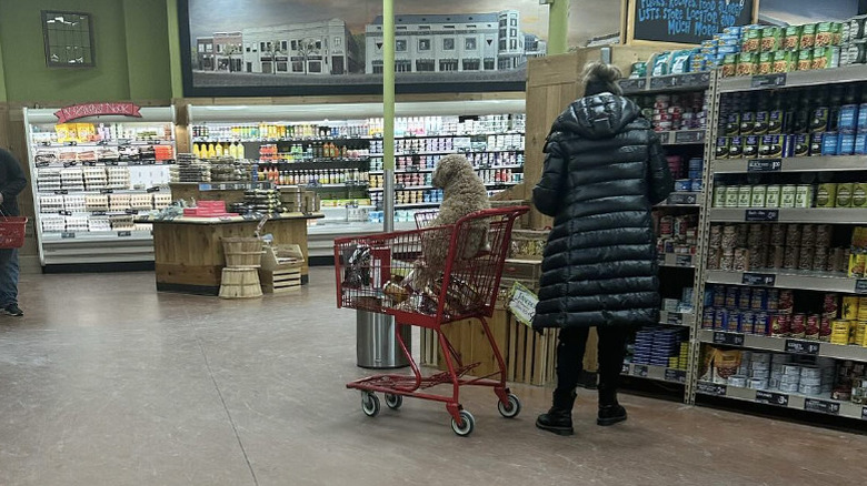 Dog in Trader Joe's cart