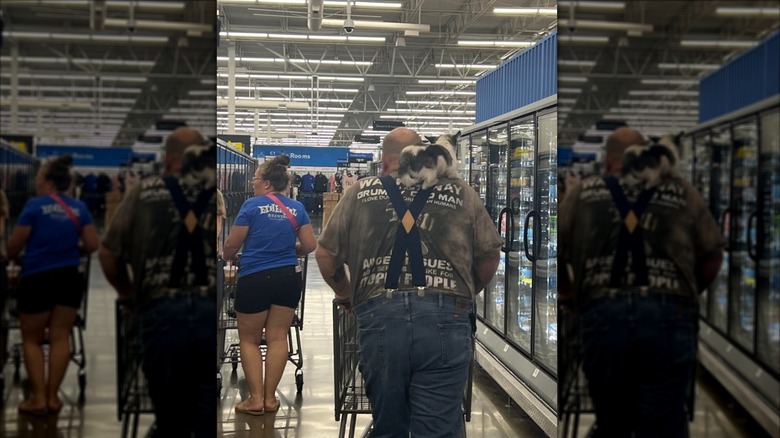 Dog on person's shoulder