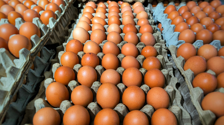 eggs produced en masse in their cartons