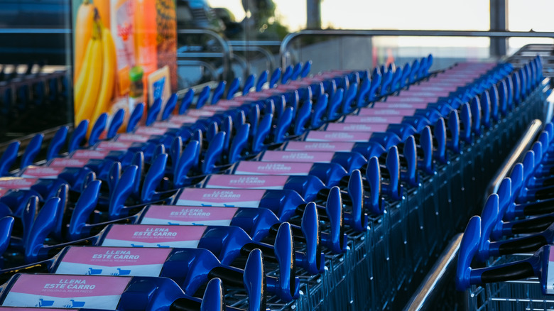Blue Aldi carts lined up outdoors.