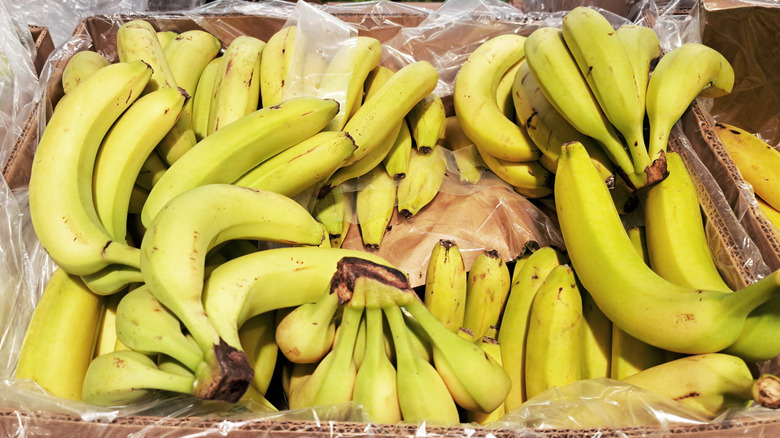 Bananas stacked in a box for shipping.