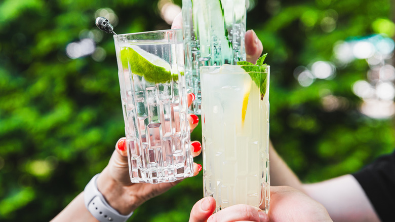 Various clear whiskey cocktails held up against a greenery background.
