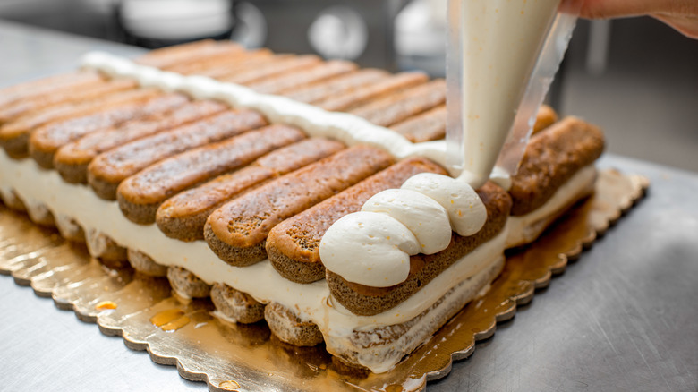 A piping bag pipes mascarpone onto lady fingers for tiramisu.