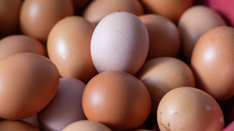 closeup of eggs